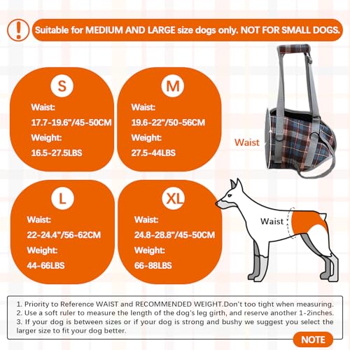 Dog Lift Harness (Small / Hind Legs-Orange)