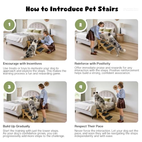 4 Step Dog Stairs for Large Dogs (4-Step)