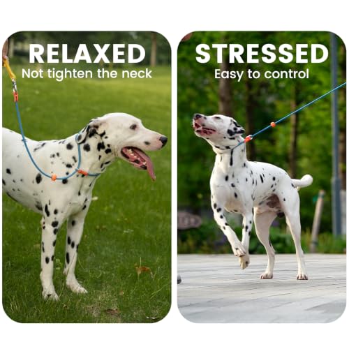 Slip Lead Dog Leash (Orange / 5.5FT)