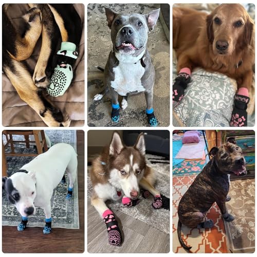Anti Slip Dog Socks for Hot (Red&green With Woof / X-Large (4 Pack))