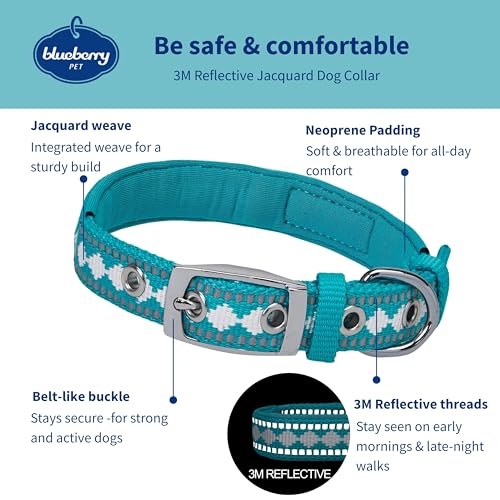 Reflective Jacquard Dog Collar with Neoprene Padding & Metal Buckle (Small / Metal Buckle-Peacock)