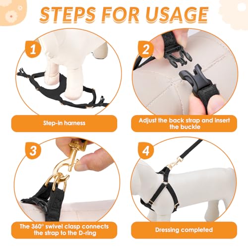 No Pull Dog Harness with Leash for Small Medium Dogs (X-Small(6-11lb) / Solid Black)