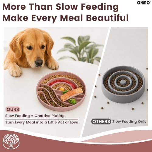 Slow Feeder Dog Bowl (Coral)