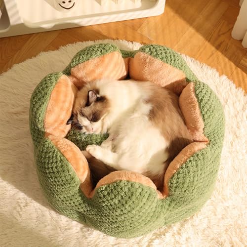Cute Cat Beds Kitten Beds (Medium / Green)