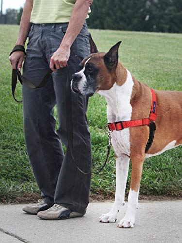 Deluxe Easy Walk Harness (Large / Rose Red)