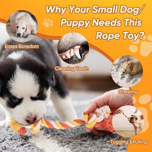 Dog Rope Toys 7 Pack (Small)