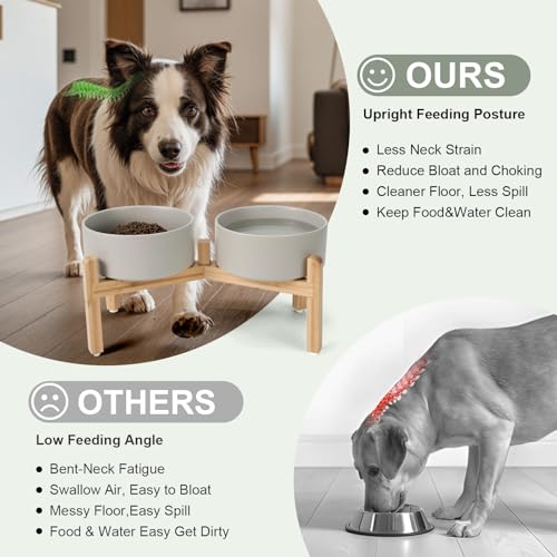Elevated Dog Bowls Ceramic (7.3 in - 5.3 cups / Grey)