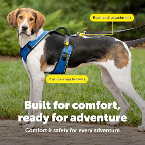 EasySport Dog Harness (Large / Blue)