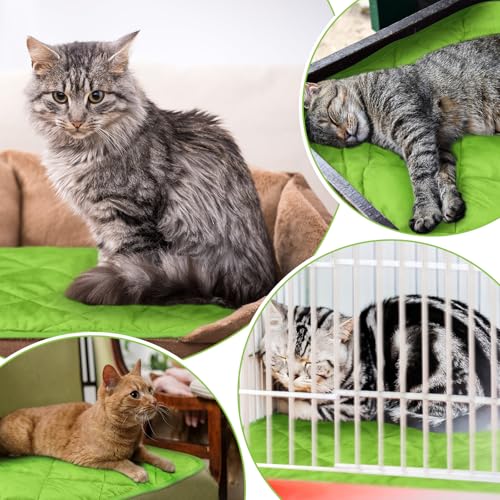 4 Pack Self Heating Cat Pad Self Warming Dog Mat Reflects Body Heat Extra Warm Thermal Pet Pad Washable Dog Cat Bed Crate Bed Mat Blanket (16 x 20 Inch / Green)