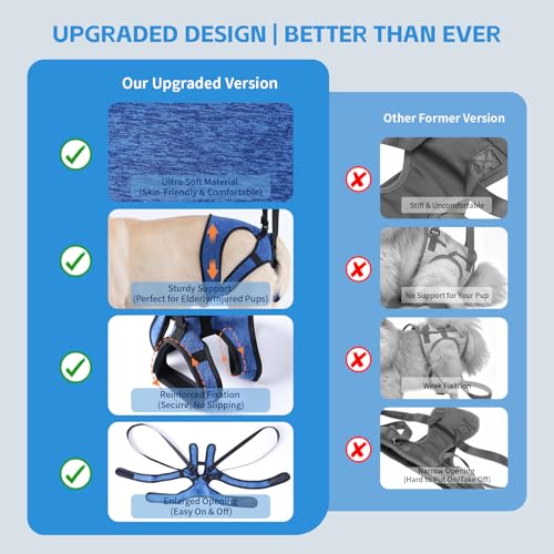 Dog Lift Harness (Blue / XL(Waist:24-29",Weight:55-77lb))