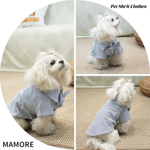Pet Shirt Clothes for Dogs and Cats (Blue Stripe / Medium)