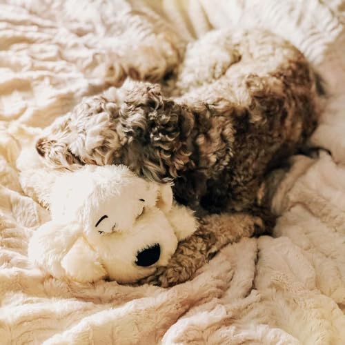 Snuggle Puppy SmartBeat Replacement Heart (Manual Activation)