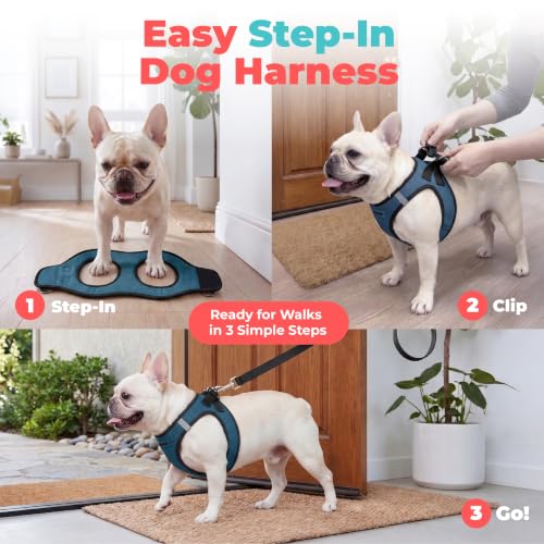 Voyager Step in Air Dog Vest Harness (Blue/Black Trim / XXS (Chest: 12 - 13.5"))