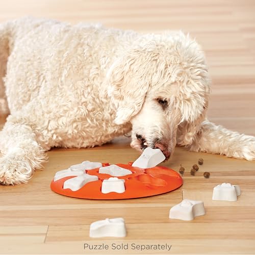 by Nina Ottosson Bone Replacement Parts for Interactive Dog Puzzles (Extra Bones (White) / 1 Count (Pack of 5))