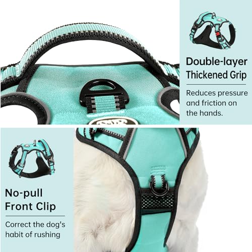 No Pull Dog Harness for Large Dogs (Turquoise / X-Large)
