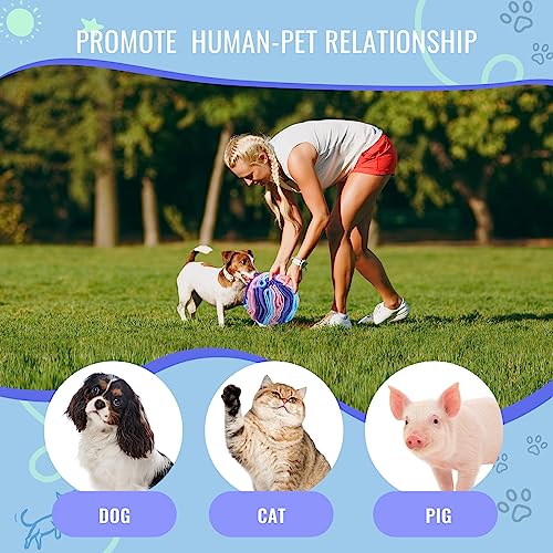 Pet Snuffle Ball (Macarons color / 10cm)