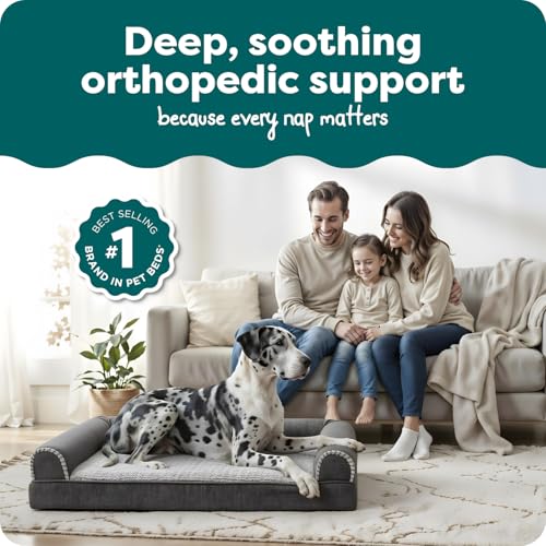 Orthopedic Dog Bed For Large Dogs (Jumbo Plus / Charcoal)