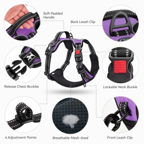 No Pull Dog Harness Large with Front Clip & Neck Release Buckle (XL / Purple)