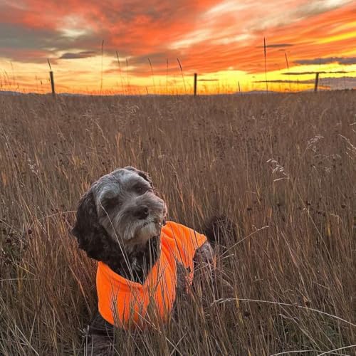 Dog Fleece Vest Sweater with Leash Ring (XL (17-25lbs) / Orange)