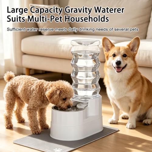 8L Elevated Dog Water Dispenser (8L / Bright White)