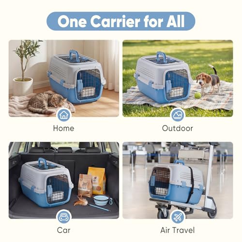 23" Hard Sided Pet Carrier for Small Pets (Modern Blue / 22.4"L x 14.6"W x 13.0"H)