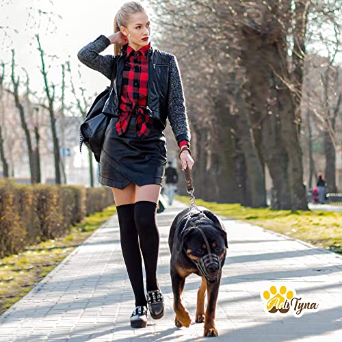 Short Leather Dog Leash 12" Length x 1" Wide (15" long x 1" width / Black)