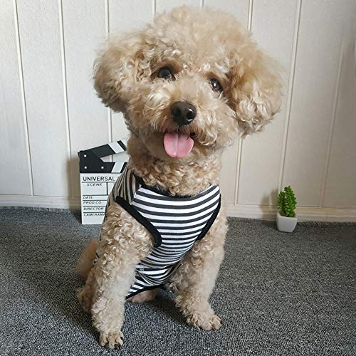 Dog’s Recovery Suit Post Surgery Shirt for Puppy (X-Large / black white stripe)