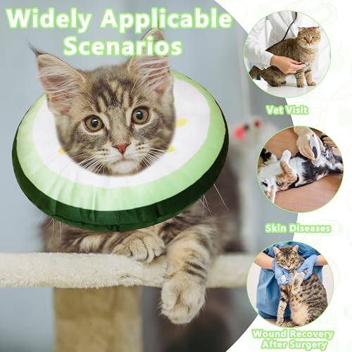 Cat Cone Collar Soft (Cucumber / Large)