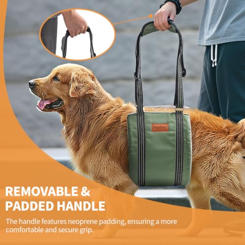 Dog Lift Harness for Large Dogs (Large (Pack of 1) / Army green)