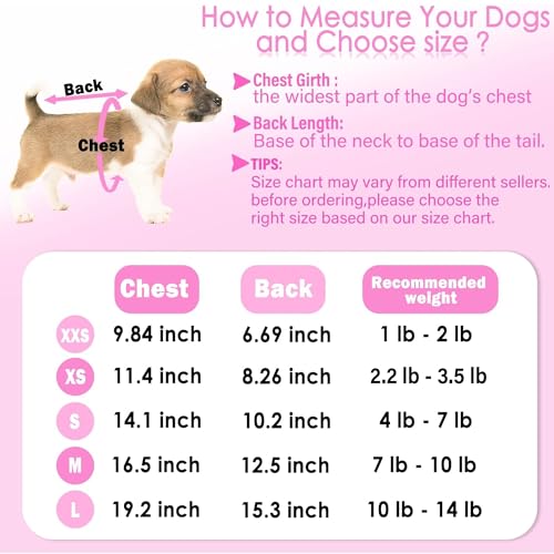 XXS Dog Sweater 2 (XX-Small / Pink+Light Pink)