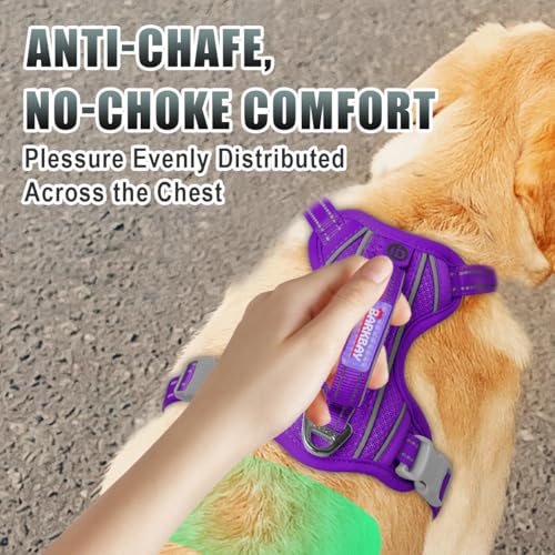 Dog Harness for Large Dogs No Pull Dog Vest ID Tag Pocket (Purple / Large)