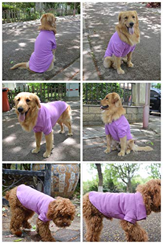 Basic Dog Polo Shirts Premium Cotton (M (-12lbs) / Violet)