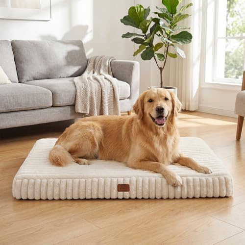Orthopedic Dog Bed for Large Dog (Cream / 36"x27"x3")