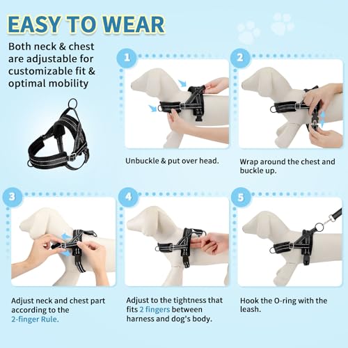 No Pull Small Dog Harness and Leash Set with Front Clip (XX-Small / Black)