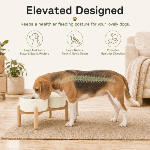 Ceramic Dog Bowls Elevated (Light Yellow)