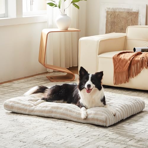 Washable Small Dog Bed (White / 23.0"l x 18.0"w x 3"th)