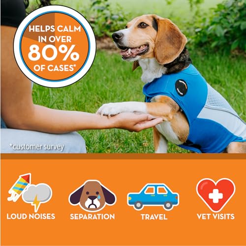 Breeze for Dogs Calming Anxiety Vest (Sky Blue / Small)