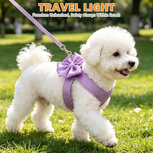 Small Dog Harness and Leash Set (PURPLE / XS (Chest Girth: 11.8"-13.4"))