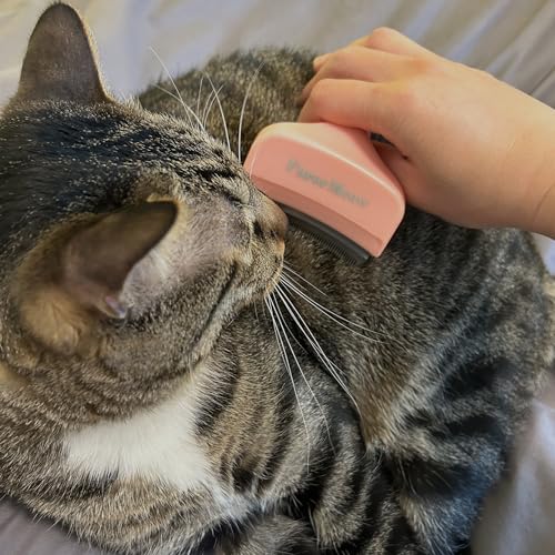 Pet Deshedding Tool with Curve Blade (Small / Pink)