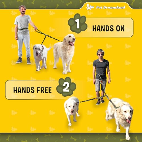 Exquisite Hands Free Double Dog Leash for Two Dogs with Tangle (Khaki & Orange)