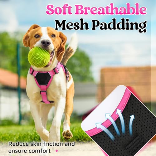 Escape Proof Dog Harness for Small (Rose & Black / Small)