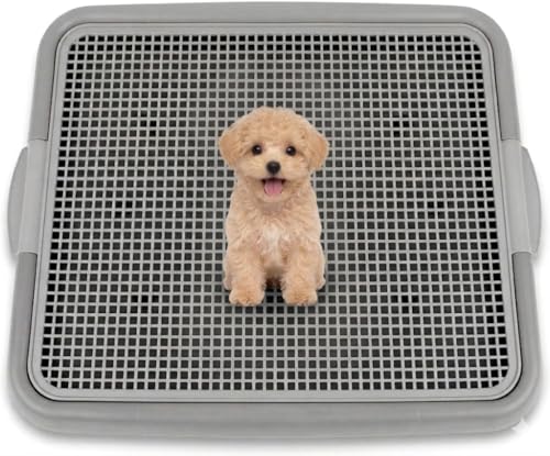 Puppy Potty Tray with Mesh (Small - 20 x 16 in)