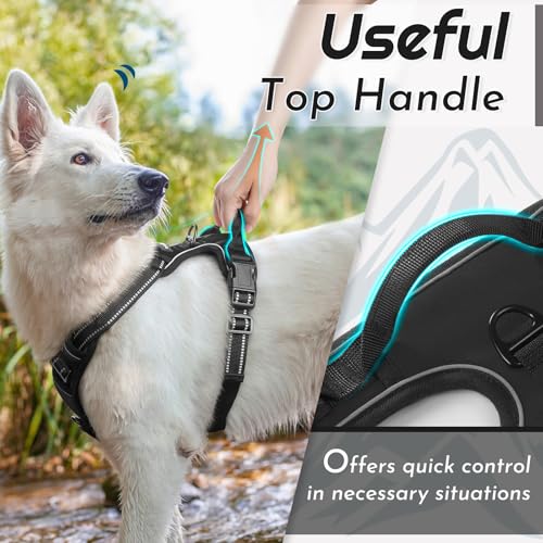 Dog Harness for Large Dogs (Large / Black)