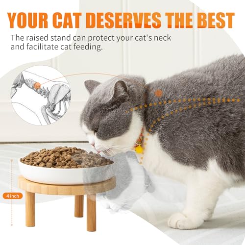 Shallow Wide Elevated Cat Bowls Whisker Fatigue (Blue)