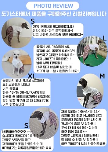D Doggy Star Italian Greyhound Clothes Mombbe Onesie Outfit Whippet for Dog Coat (3XL / Mombbe Black)