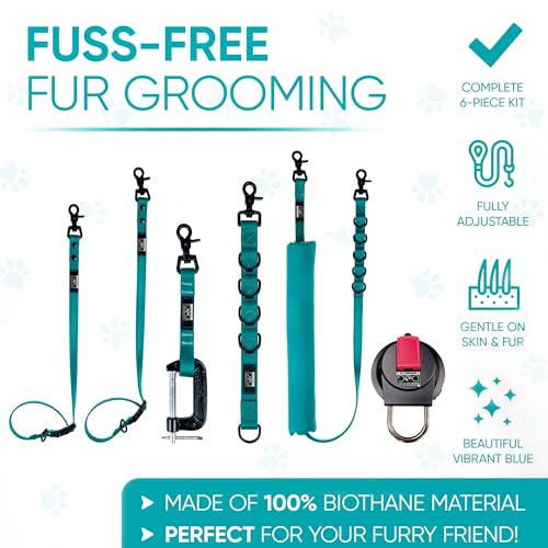 Dog Grooming Loop (Teal Green)