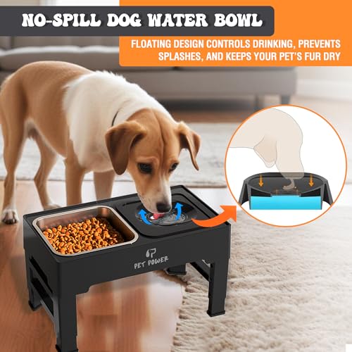 Elevated Dog Bowls (No-Spill Water Bowl & Stainless Steel Bowl Black)