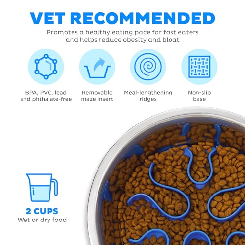 Fun Feeder Stainless Steel Slo Bowl for Dogs (Stainless Steel / Medium)