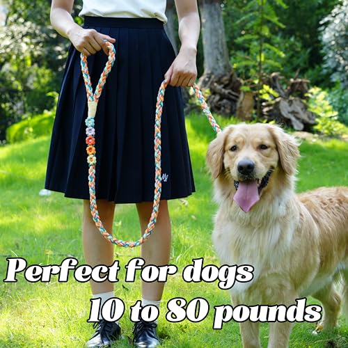 5FT Braided Cotton Rope Leash for Small (Fiesta Twist)