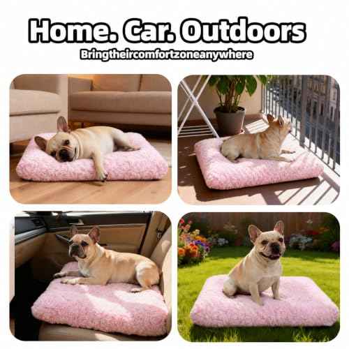 Dog Bed Medium Size (Pink / 23"L x 18"W x 3"Th)